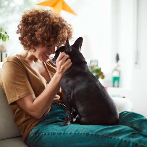 Pet-friendly apartments at Carson Hills Apartments in Carson City, Nevada