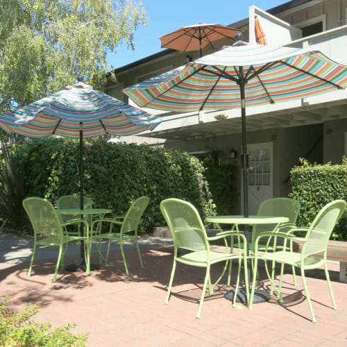 amenities at Palazzo Gardens in Palo Alto, California