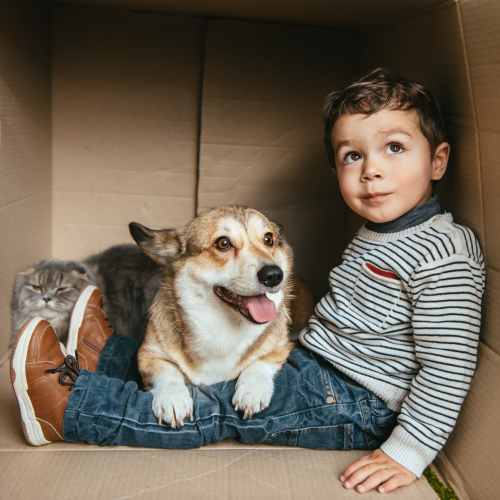 Young boy playing with his pet dog in a carboard box at Broadway Crossing Apartments in Merrillville, Indiana