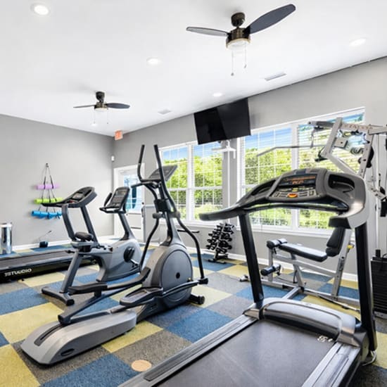 Bright fitness center with cardio machines, free weights, and large windows for natural light at 43 North Apartments in Grand Haven, Michigan