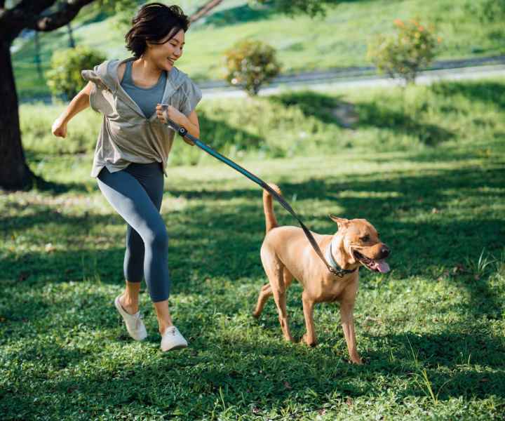 Dog park near Cape Fear Townhomes in Fayetteville, North Carolina