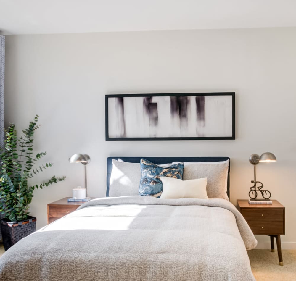 Model home's master bedroom with accent walls and plush carpeting at Sofi at Morristown Station in Morristown, New Jersey