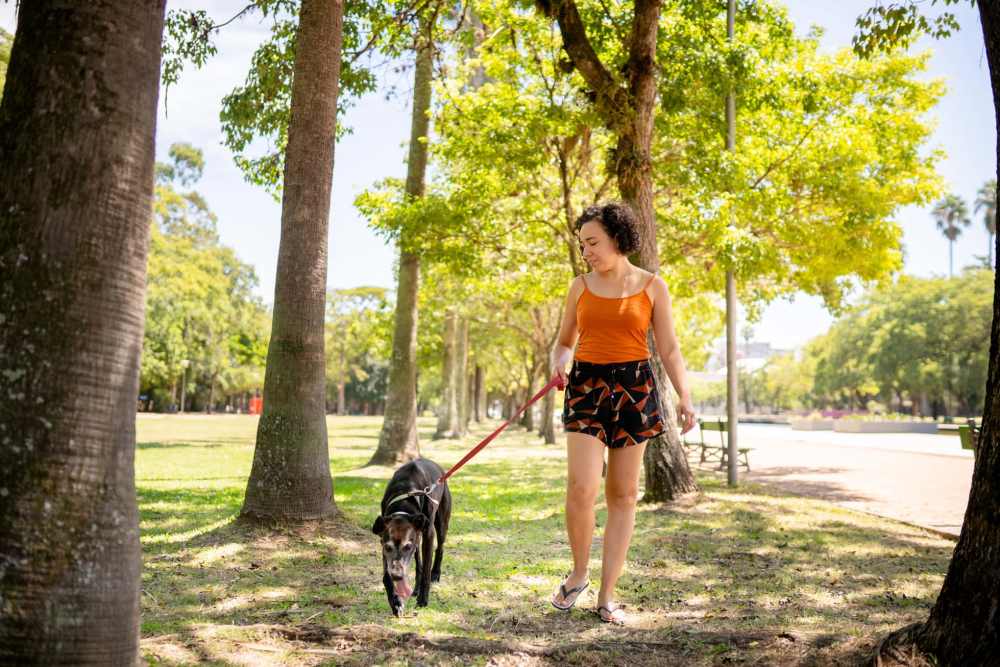 Resident walking with her pet at a park near Circa at Fishhawk Ranch in Lithia, Florida