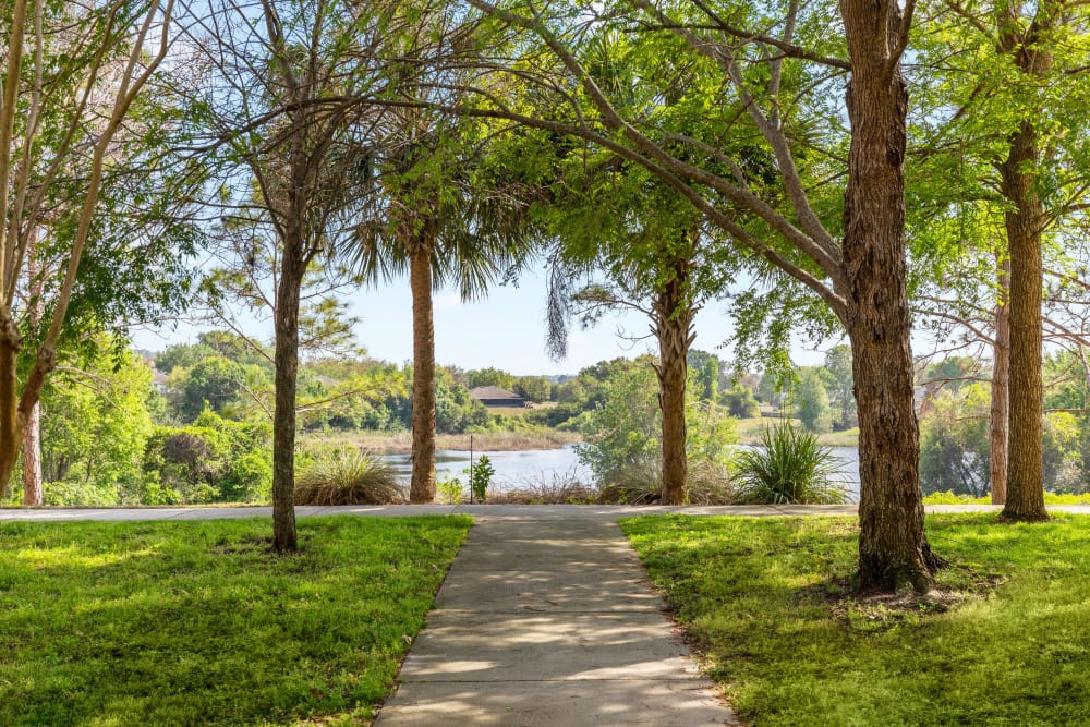 Lush landscape and walkway at Citrus Tower | Apartments in Clermont, Florida