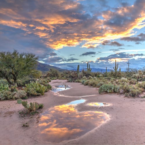 desert sunset at Adobe Flats V in Twentynine Palms, California