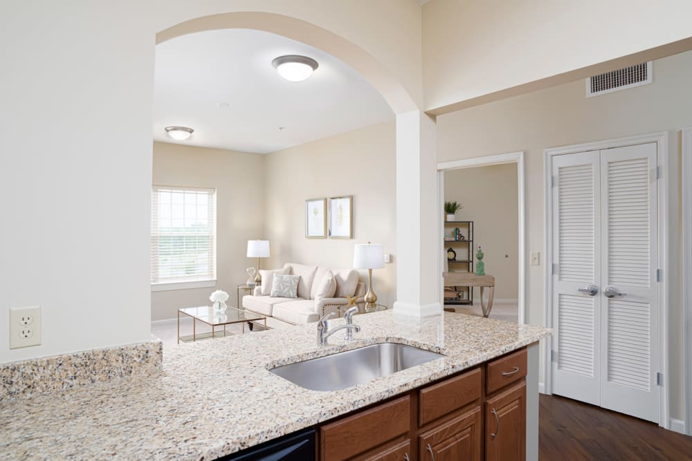 View from kitchen at Harmony at Chantilly in Herndon, Virginia