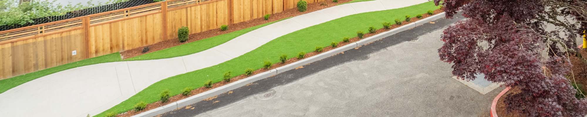 The Theodore's pet policy in Tacoma, Washington