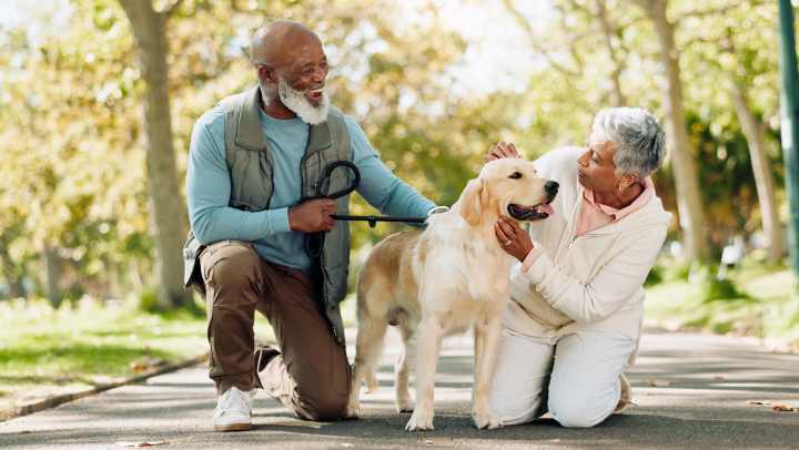 Senior couple walking their dog outdoors on a sunny day, enjoying an active and healthy lifestyle.