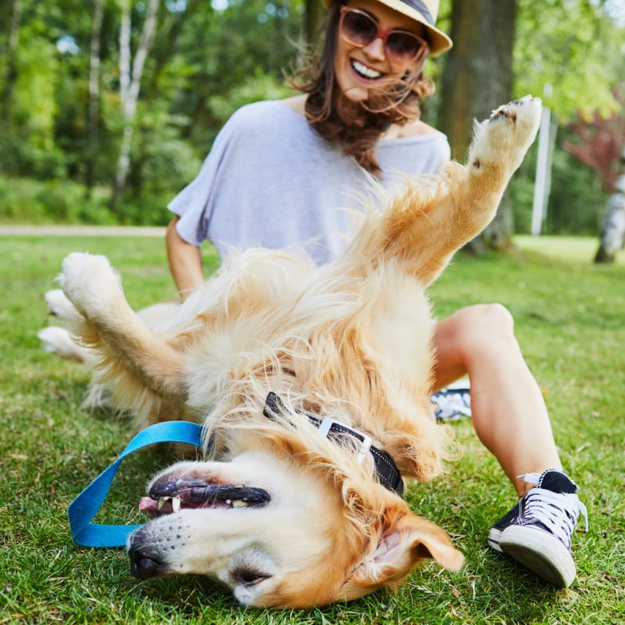 Resident and her dog playing at a local park near Lakeside Apartments in Wheaton, Illinois