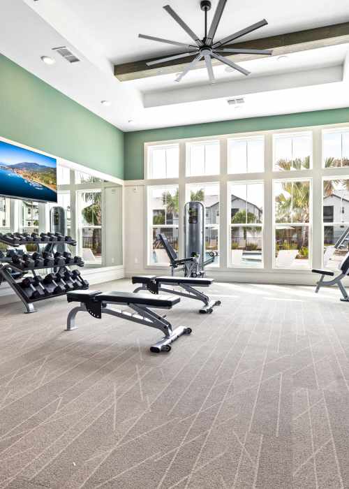 Exercise in our fitness center at Collins Preserve in Jacksonville, Florida