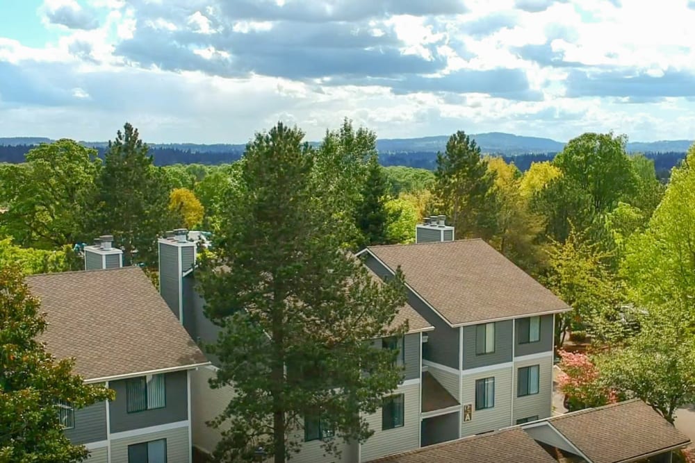 Gorgeous view outside the apartments with green grass and pretty trees at Oswego Cove in Lake Oswego, Oregon