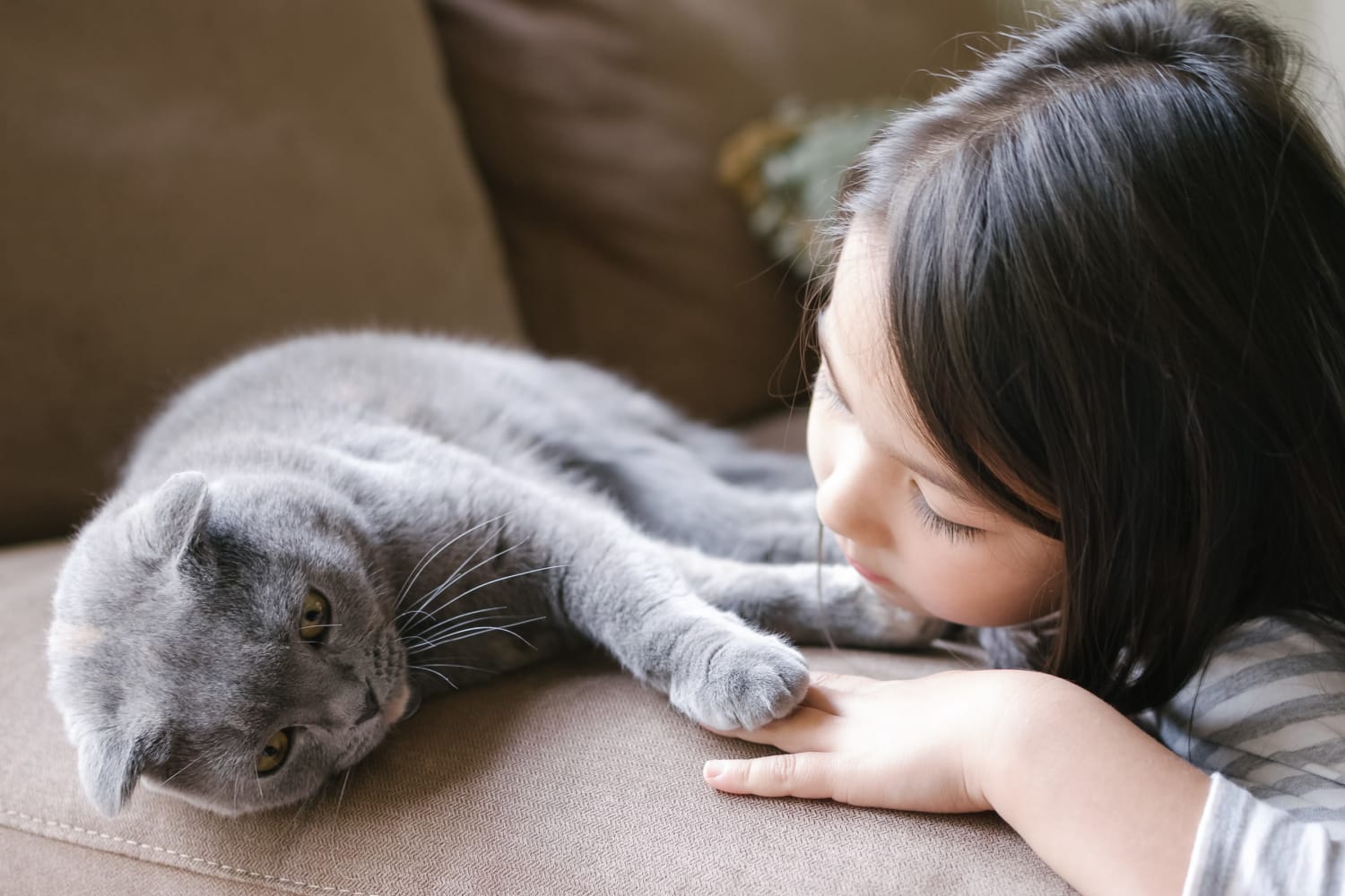 girl laying with her cat on the couch at The Pines at Castle Rock Apartments in Castle Rock, Colorado