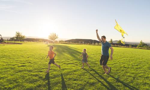 Entertainment near Valley Brook Townhomes in Rochester, New York
