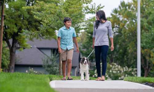 Outdoor activities near Valley Brook Townhomes in Rochester, New York
