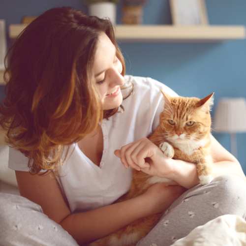 Resident playing with her cat at Valley View Apartments in Cedar Rapids, Iowa