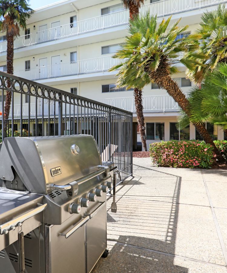 Palm trees and beautiful flora near the barbecue area with gas grills at Sofi Redwood Park in Redwood City, California