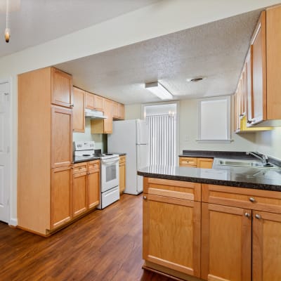 A kitchen with appliances in a home at Pecan Crescent in Chesapeake, Virginia