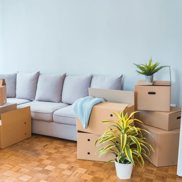 Packed boxes that will soon be stored at StorageLand Rental Spaces in Arlington, Texas