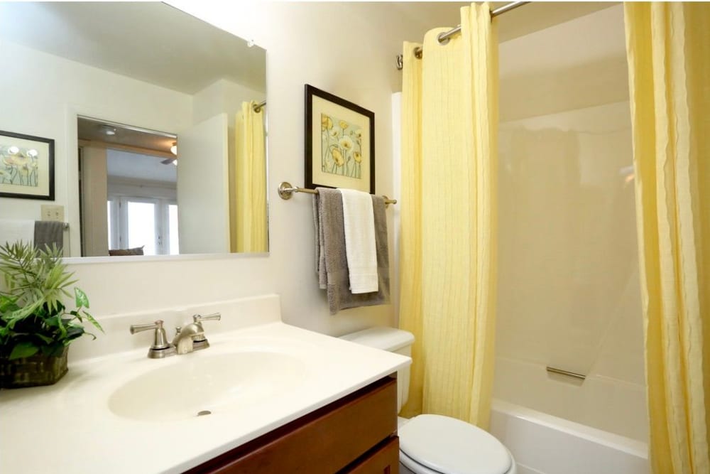 clean bathroom at Shoreline apartments in virginia beach virginia