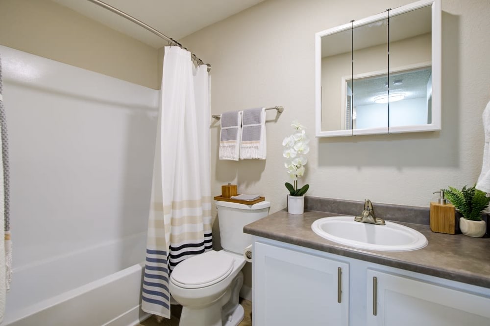 Bright bathroom at Terra Apartment Homes in Federal Way, Washington