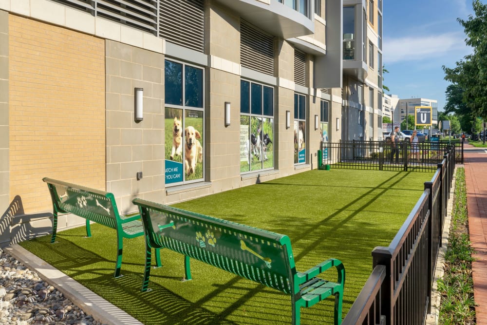 A dog run with benches at Harlow in Washington, District of Columbia