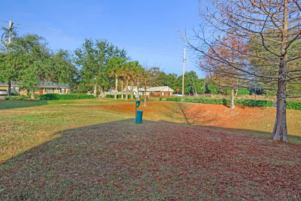 Lush green space with trees and a pet-friendly area for outdoor activities at Magnolia Crossing and Bell Ridge II in Pace, Florida