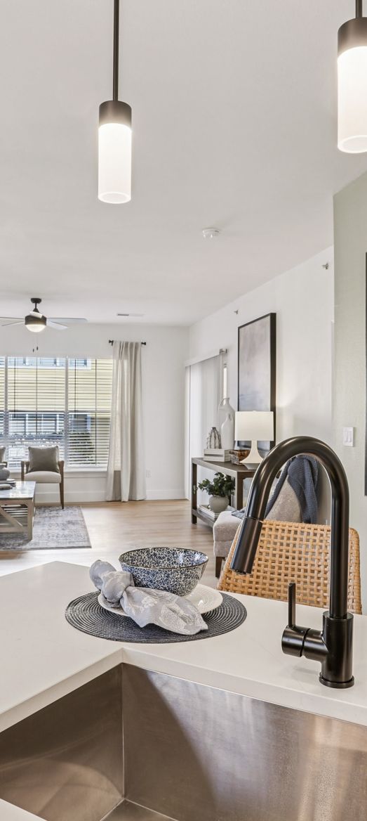 Modern kitchen with stainless steel appliances and wooden floor at Flatiron District at Austin Ranch, The Colony, Texas