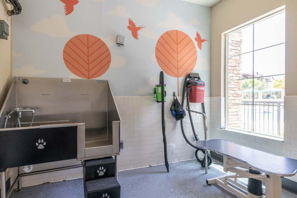 Pet Wash at Circa at Fishhawk Ranch in Lithia, Florida