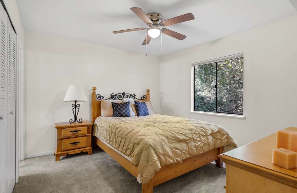 Nicely furnished bedroom with a bed, nightstand, dresser, and ceiling fan and window at Treehouse Village in Gainesville, Florida