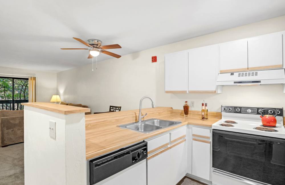  Kitchen area with white cabinets and wood countertops at Treehouse Village in Gainesville 