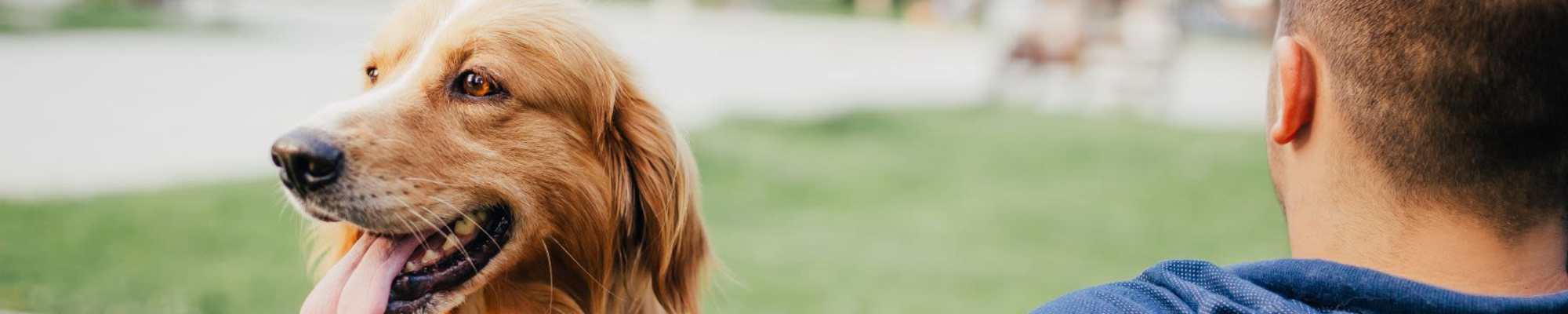 Valley View Estates's pet policy in Council Bluffs, Iowa