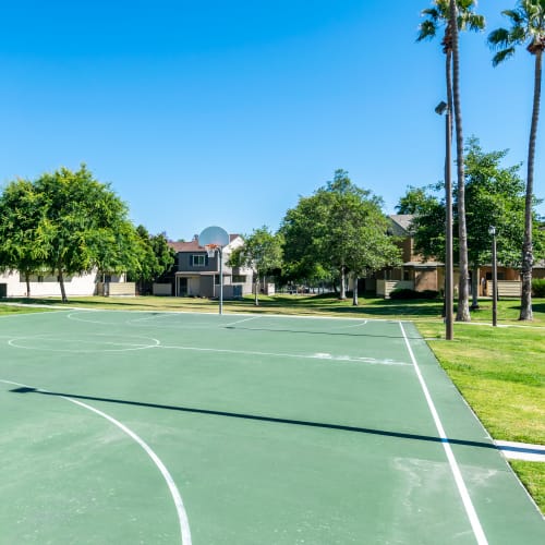 sport court at Serra Mesa in Oceanside, California