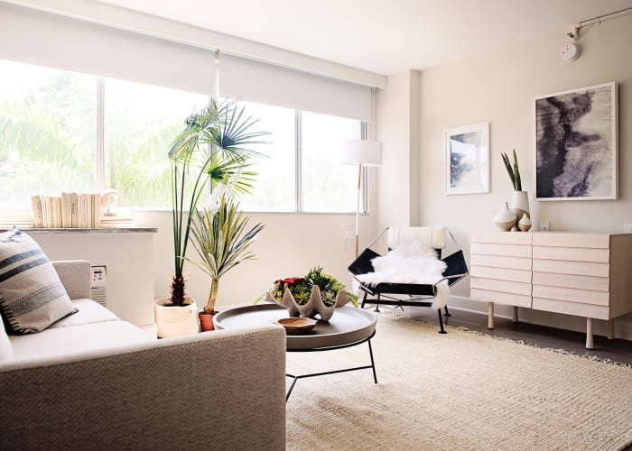 Urban Flats lounge