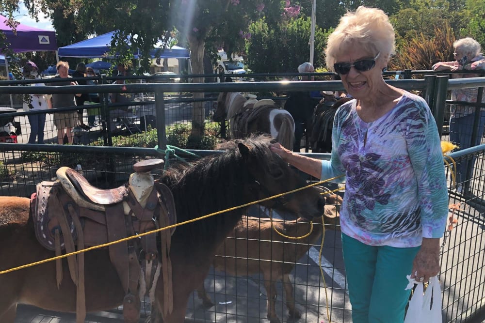 Resident petting a horse at Lodi Commons Senior Living in Lodi, California