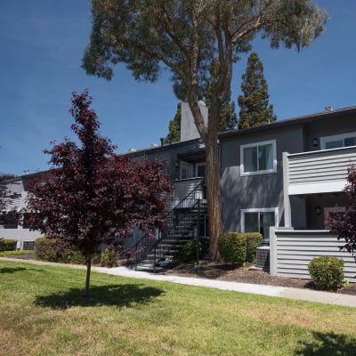 Plum Tree Apartments manage by Sequoia
