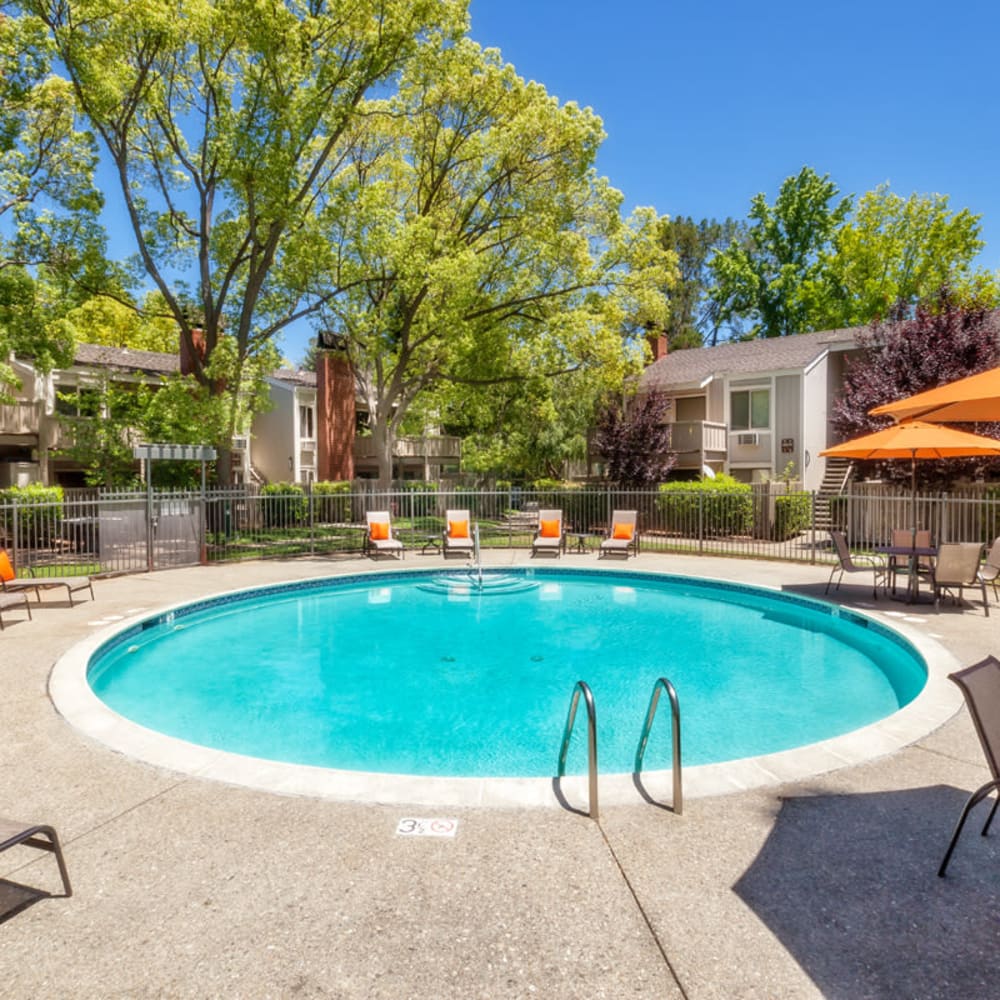 Pool with patio seating at Glenbrook Apartments in Cupertino, California