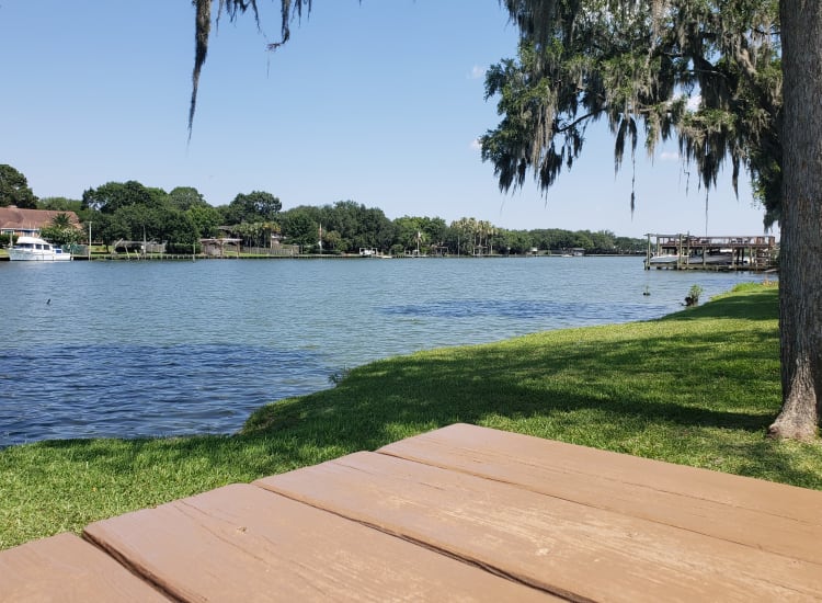 Picnic area near a mature lakeside tree at Clear Lake Place in Houston, Texas
