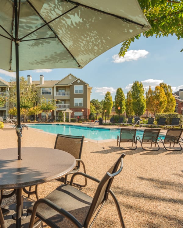 Beautiful palm trees by outdoor pool at Preston View in Morrisville, North Carolina