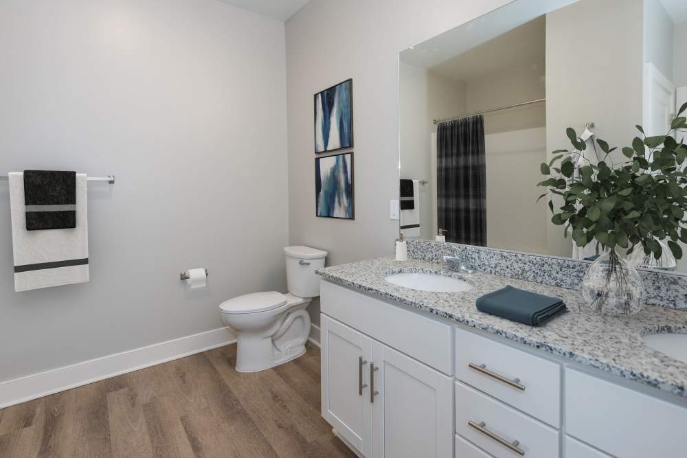 Cozy bathroom with wall decoration at Palmer's Creek, Fredericksburg, Virginia