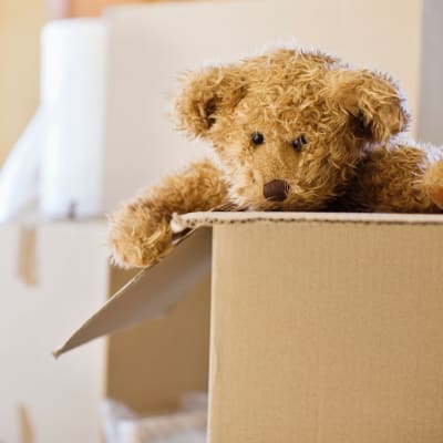 a teddy bear getting unpacked at Albany Hill Village in Albany, Georgia