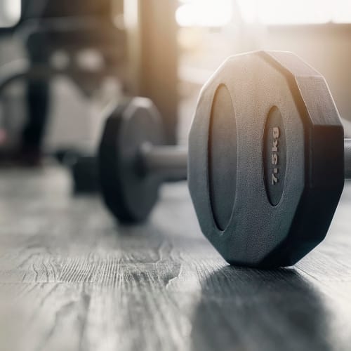 Weights in the fitness center at Hyde Park at Montfort in Dallas, Texas