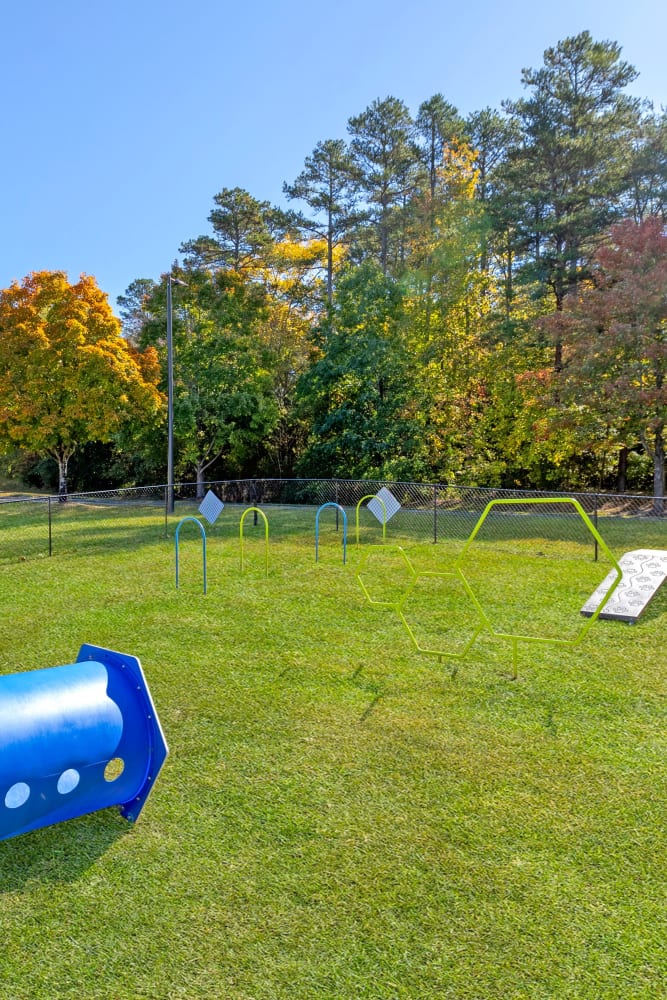 Fenced dog park at Alexander Station Apartment Homes in Salisbury, North Carolina