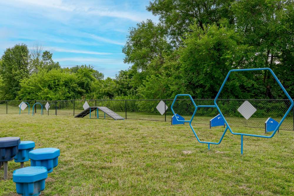 Fenced dog park with agility equipment