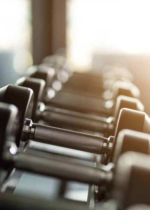 Rack of weights at The Collection at Scotland Heights in Waldorf, Maryland