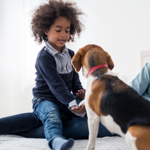 A child playing with a dog at The Village at Whitehurst Farm in Norfolk, Virginia