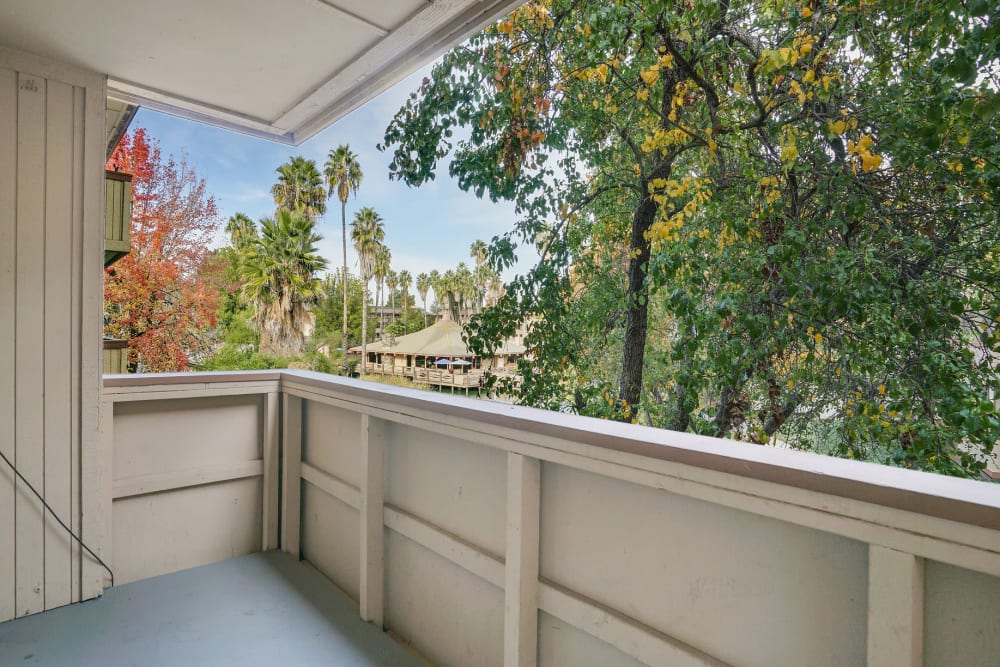 Balcony view at Palm Lake Apartment Homes in Concord, California