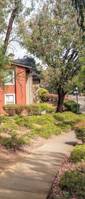Forested walkways at Sterling Heights Apartment Homes in Benicia, California