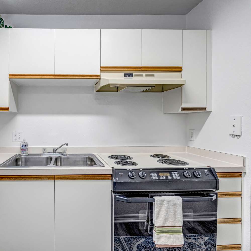 Modern kitchen with white appliances at Carlton Arms Of North Lakeland in Lakeland, Florida
