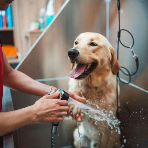 View amenities at Stonewall Park in Memphis, Tennessee