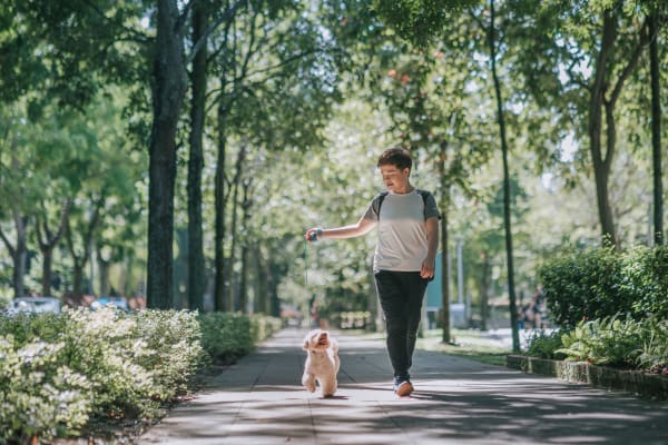 A resident walking their dog through a park near Mode at Hyattsville in Hyattsville, Maryland